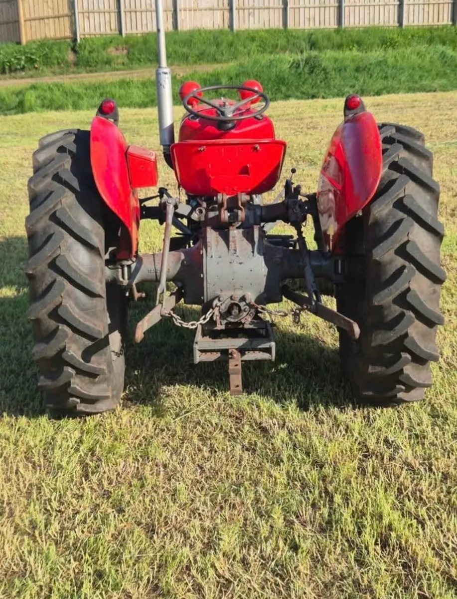 1960 Massey Ferguson - Image 3