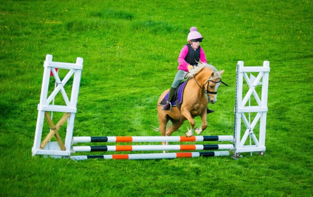 Great all rounder pony - Image 2