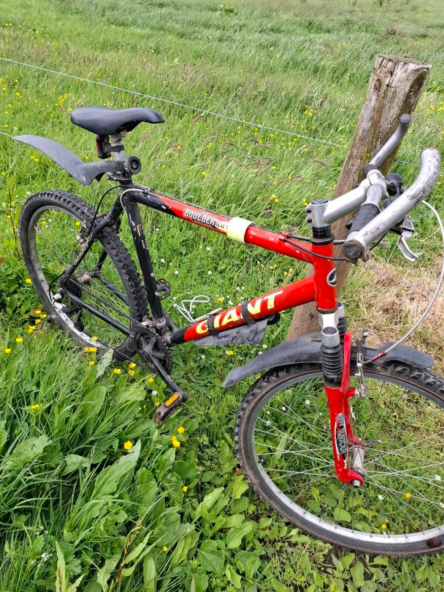 Mountain bike - Image 1