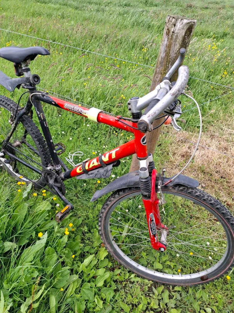 Mountain bike - Image 2