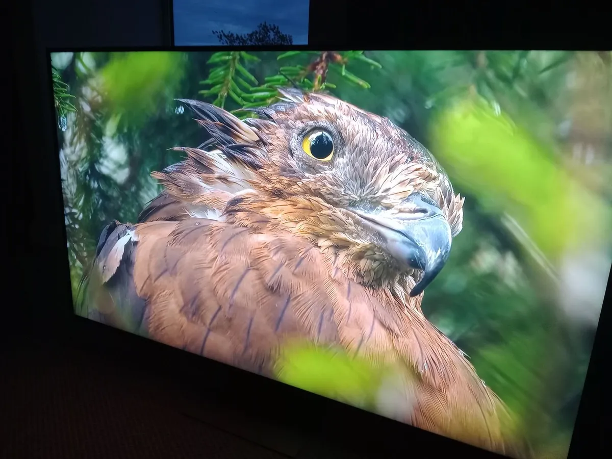 65 tv smart - Image 2