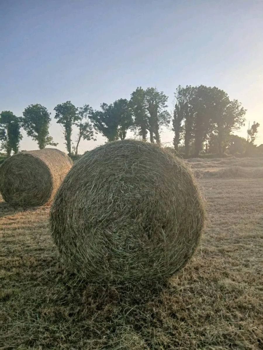 2026 Round bales of hay - Image 1