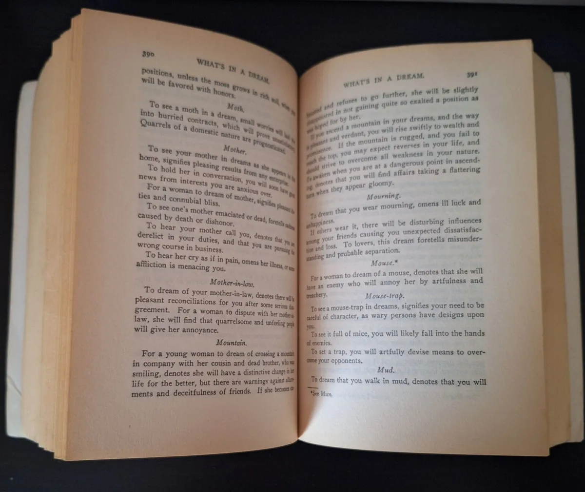 The Dictionary of Dreams – Gustavus Hindman Miller - Image 4