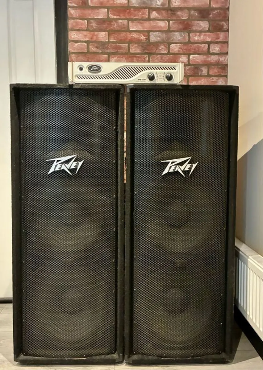 Speakers (Peavy PV215 Passive) - Image 1