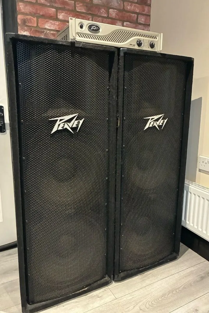 Speakers (Peavy PV215 Passive) - Image 2
