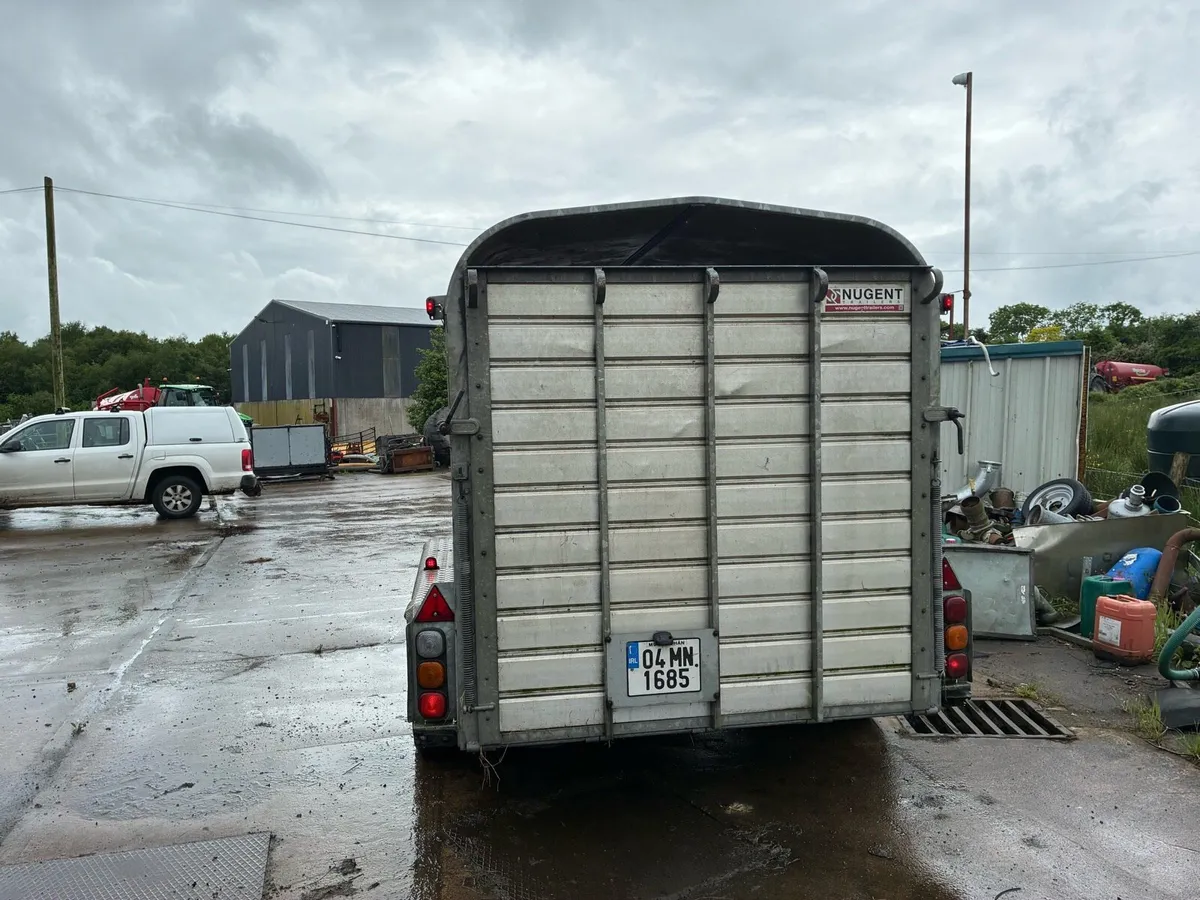 Nugent Trailer - Image 4