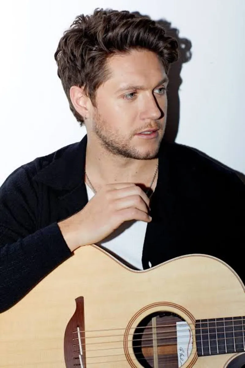 Niall Horan Dublin November 12th 2026 Ticket