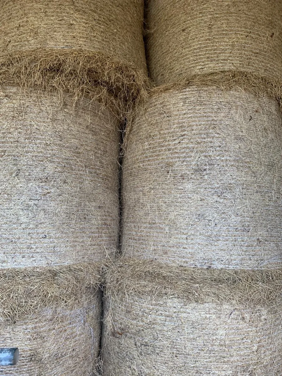 Round bales of hay