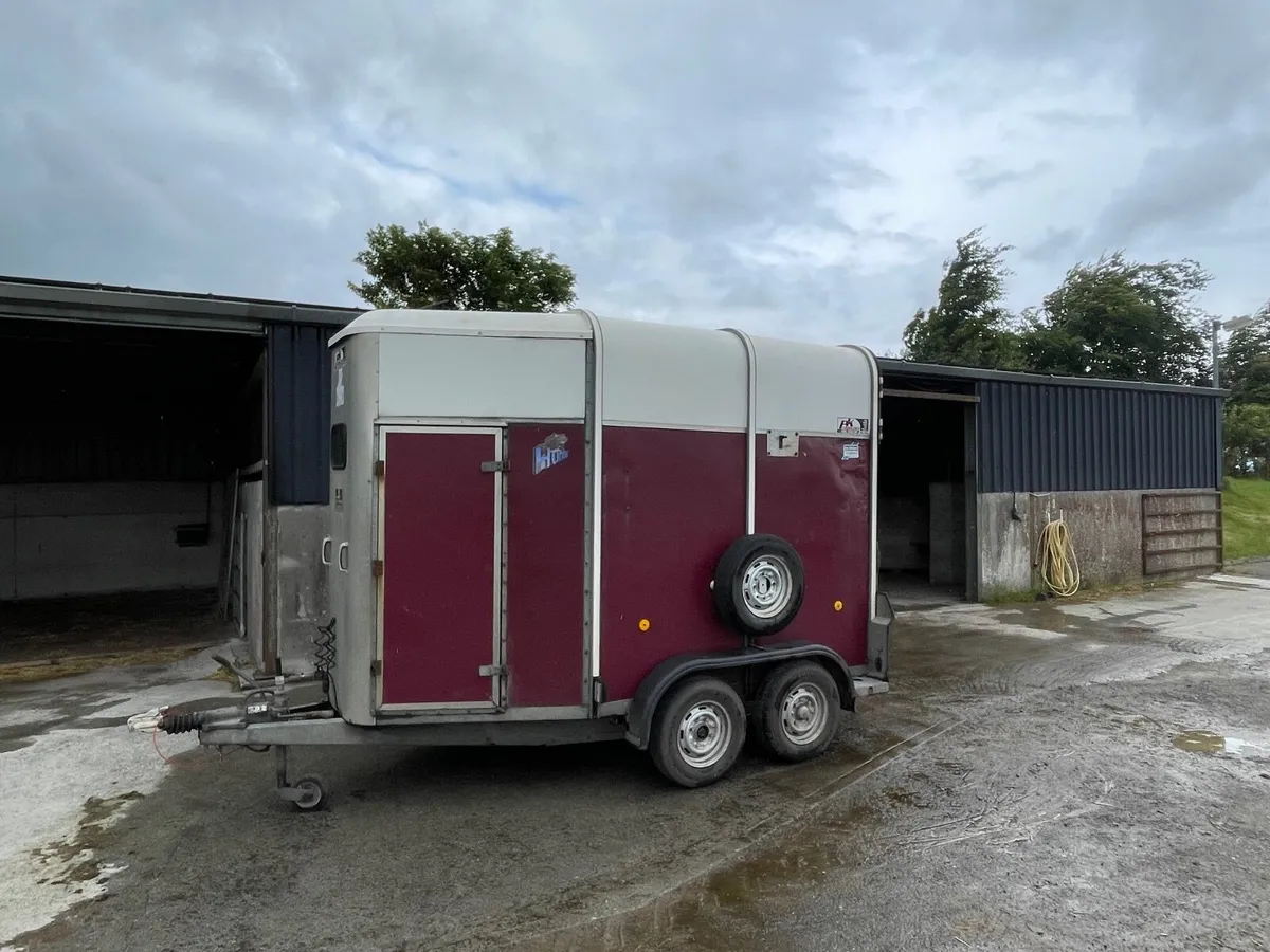 Horsebox - Ifor Williams 505 - Image 2