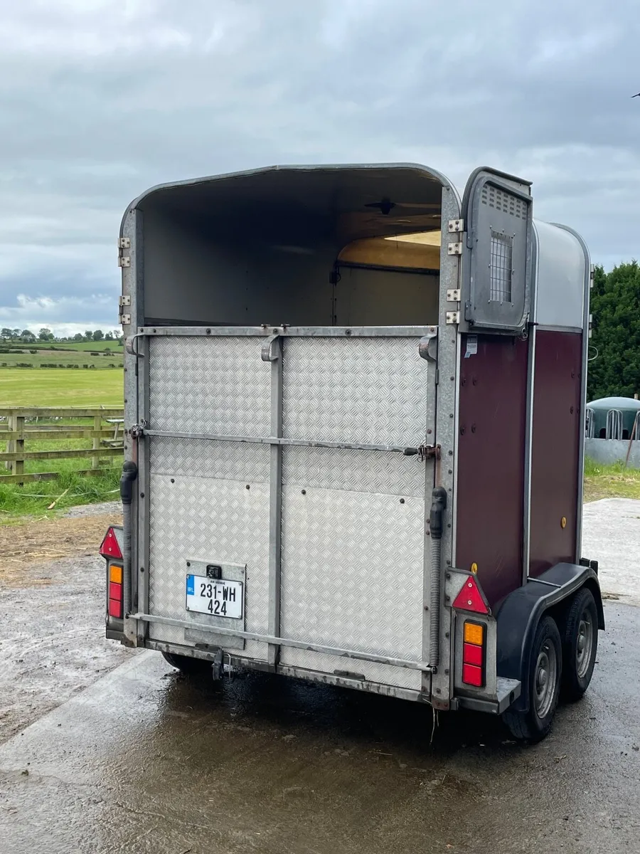 Horsebox - Ifor Williams 505 - Image 3