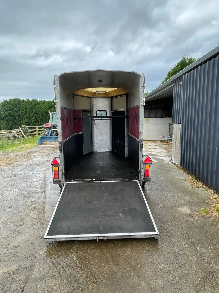 Horsebox - Ifor Williams 505 - Image 4