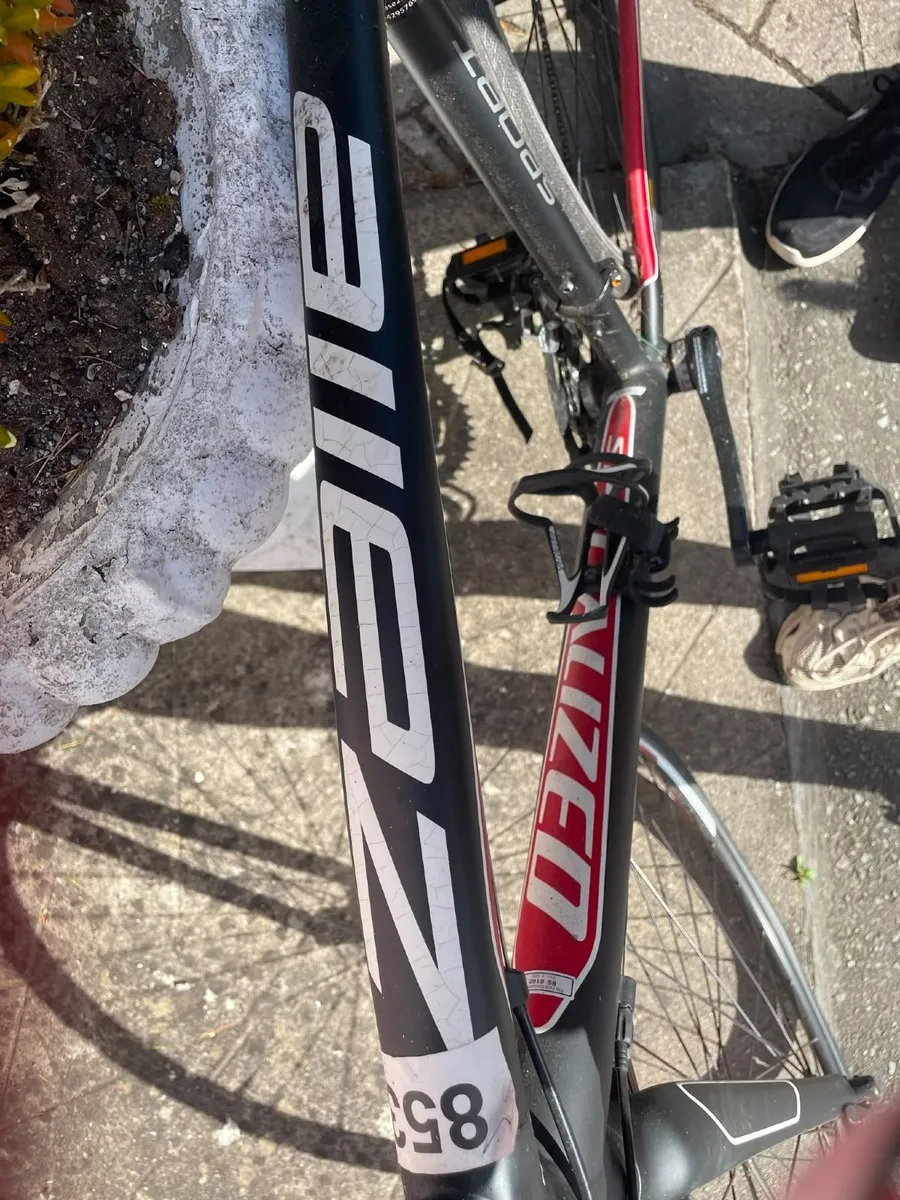 Specialized Racing Bike - Image 2