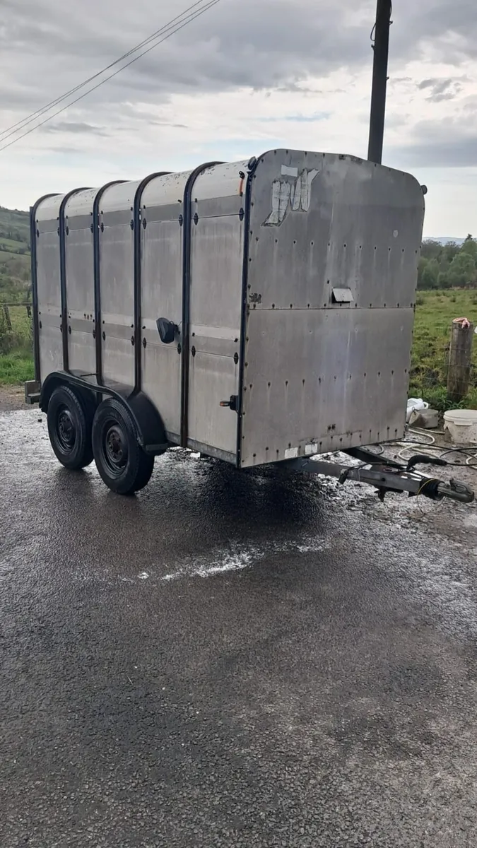 Ifor Williams 10x5 - Image 1