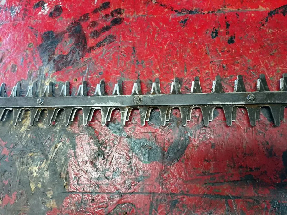 Hedge cutters - Image 2