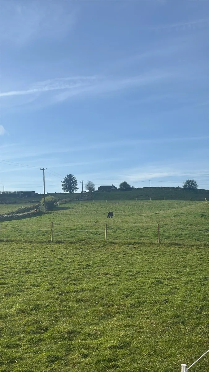 Grass livery available for limited time - Image 2