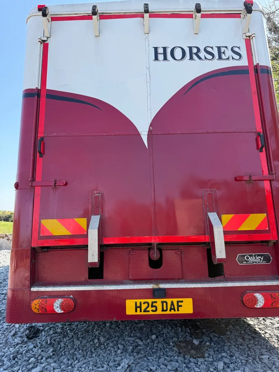 2012 DAF LF45 12 TON OAKLEY HORSEBOX - Image 3