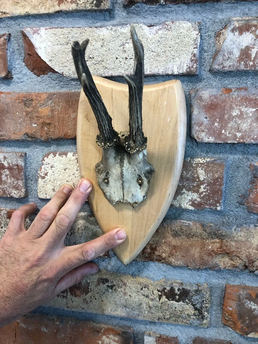 Vintage skull - Image 2