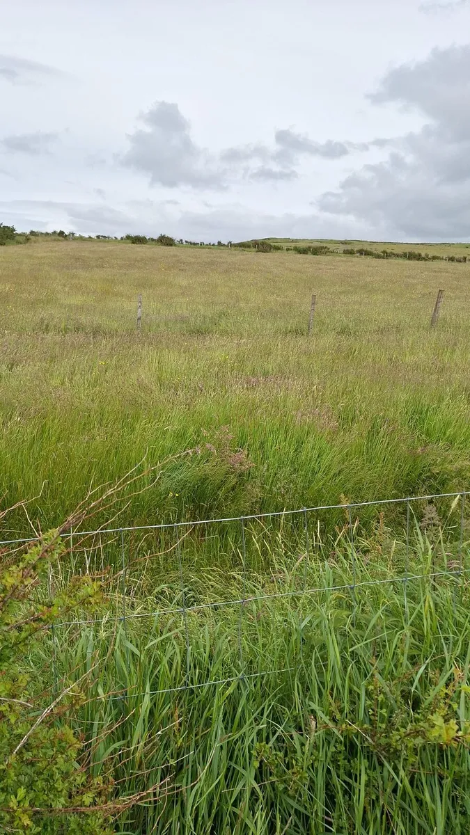 Silage meadow for sale - Image 2