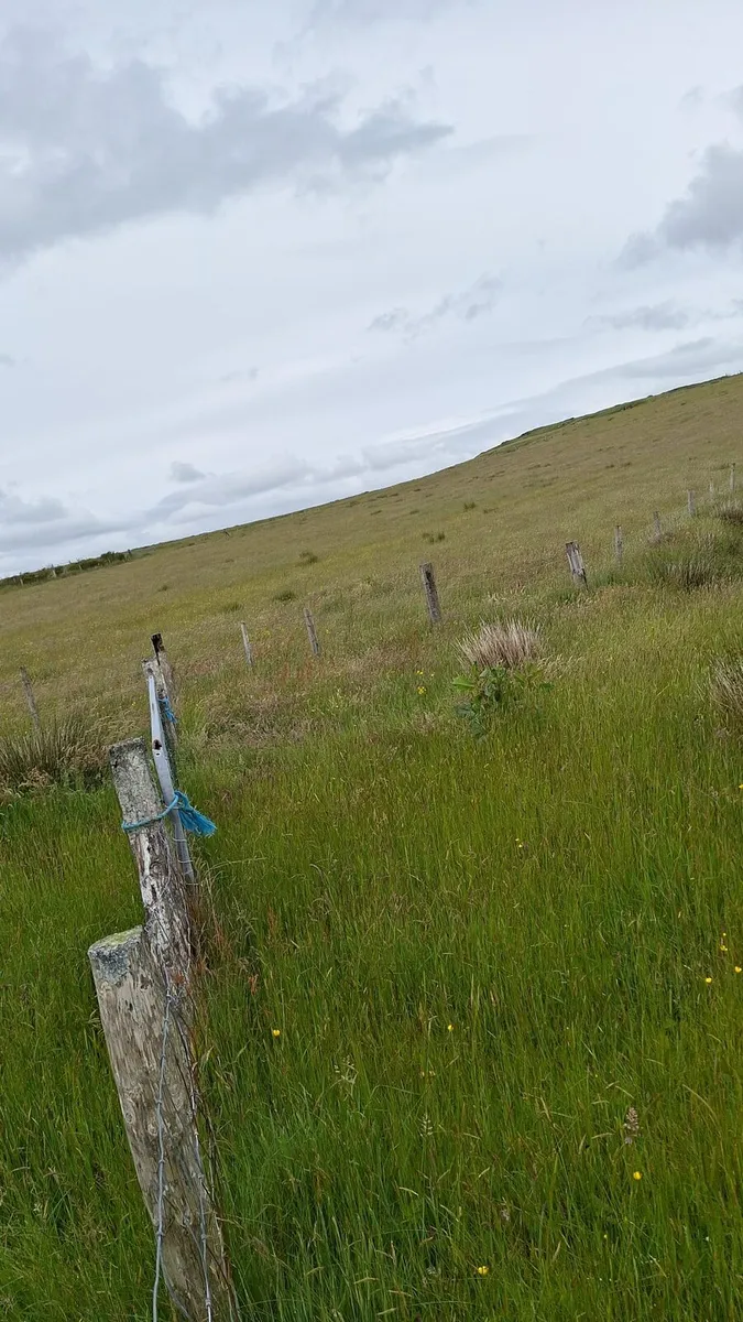 Silage meadow for sale - Image 3