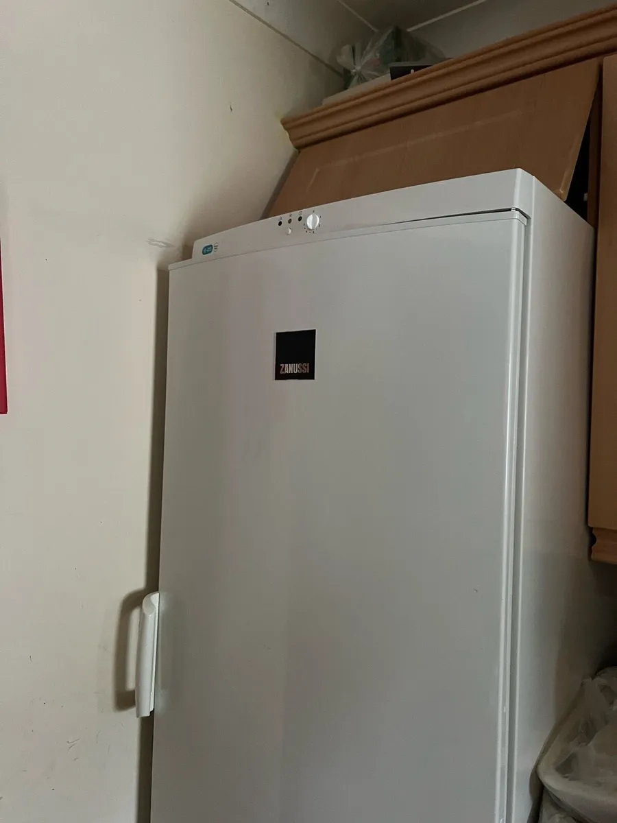 Zanussi Freezer