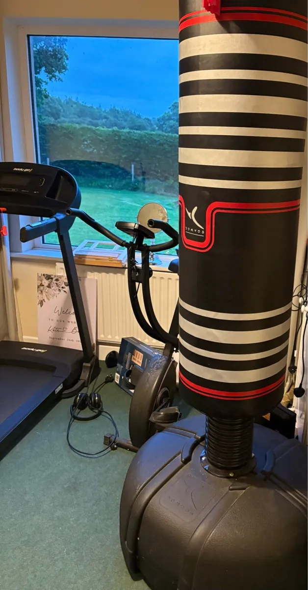 Boxing bag - Image 3