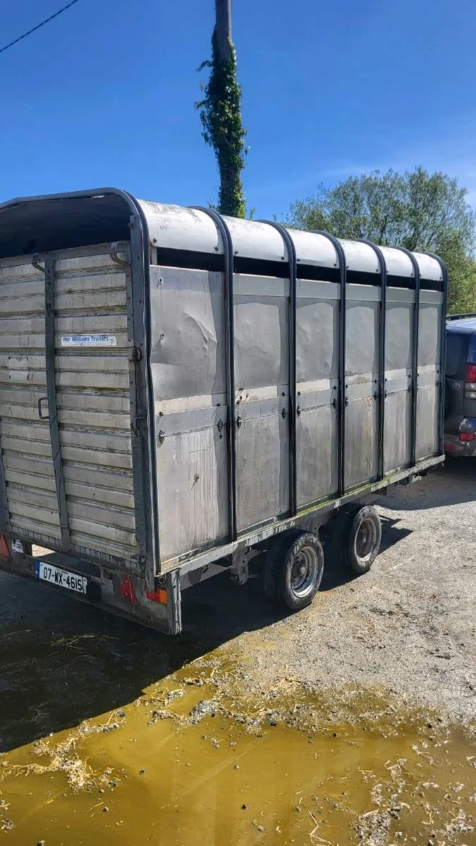Ifor willams top 12×6'6 - Image 1