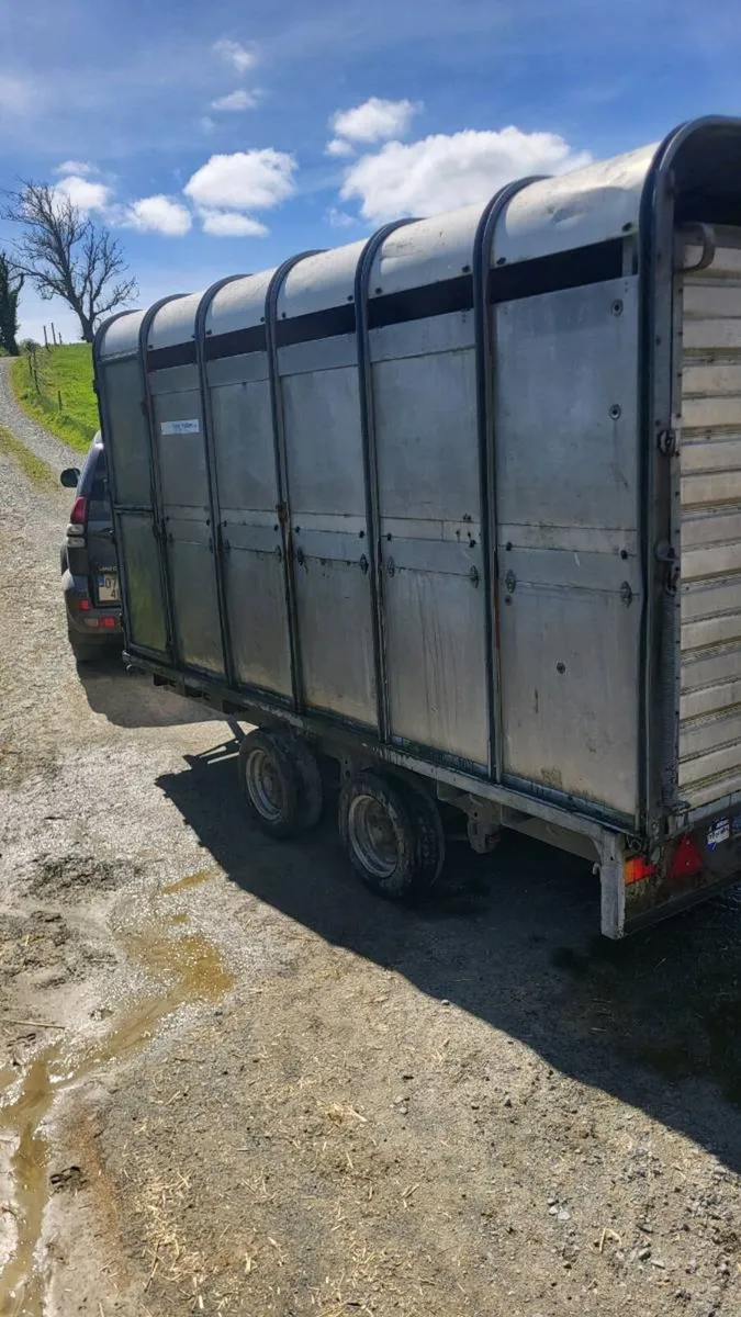 Ifor willams top 12×6'6 - Image 3