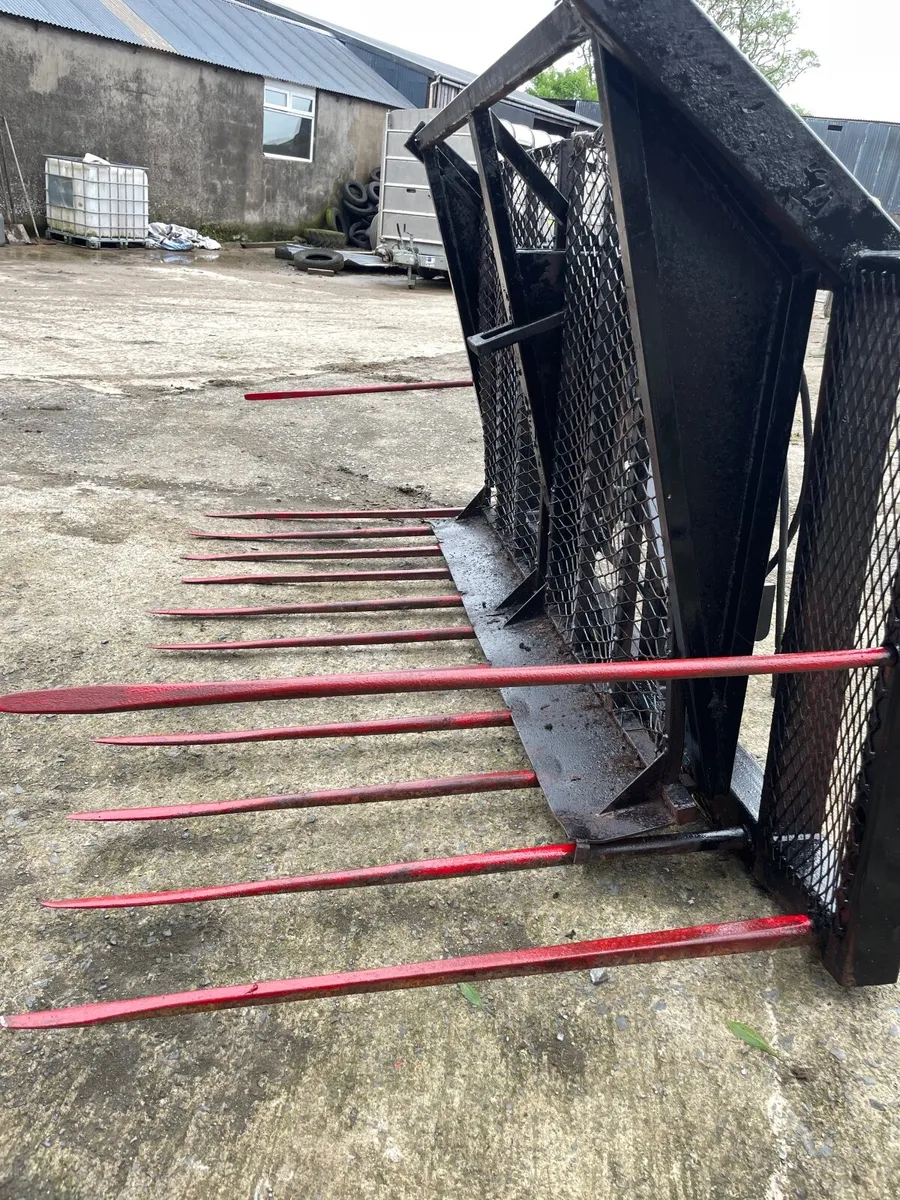 Buckrake - Image 2