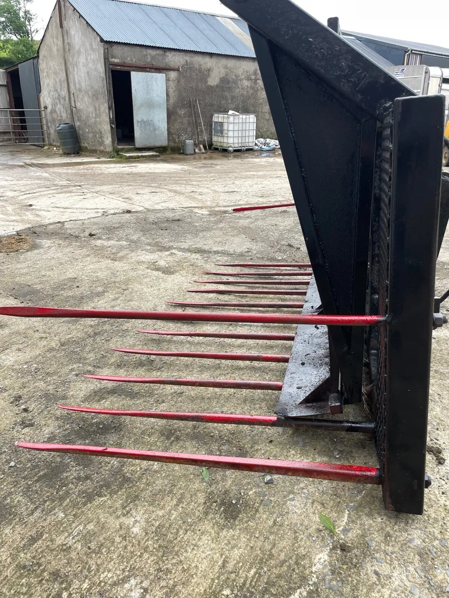 Buckrake - Image 3