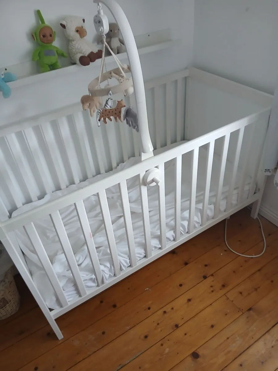 Cot/Bed