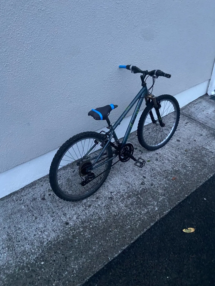 Bicycle - Image 1