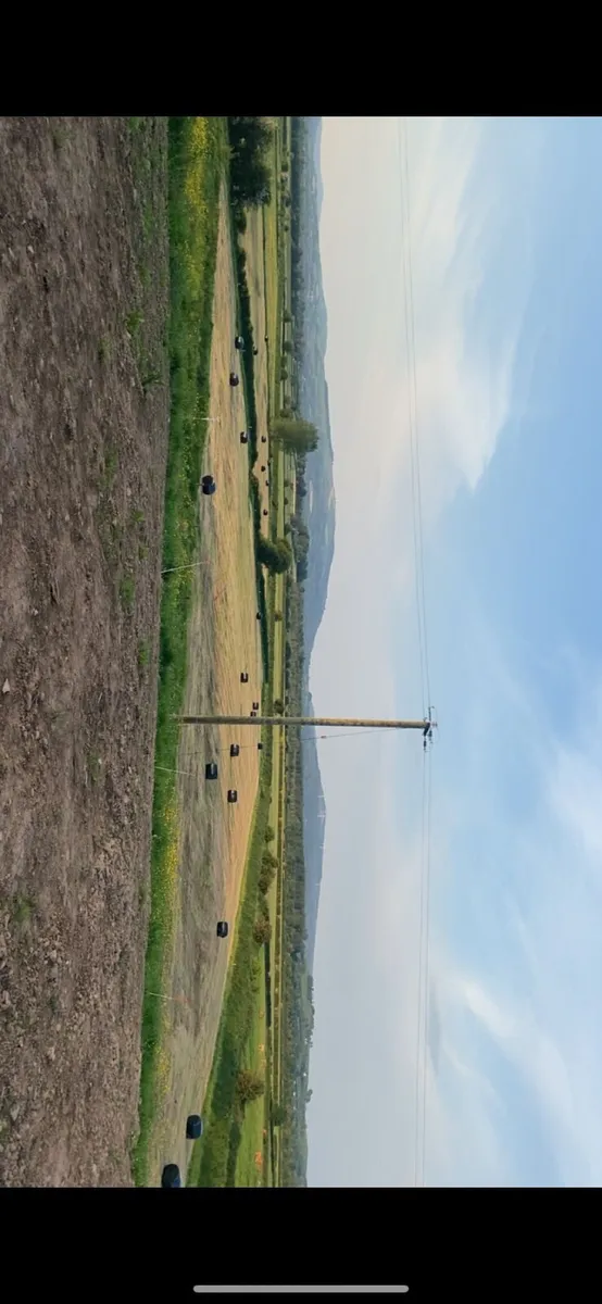 Second cut silage