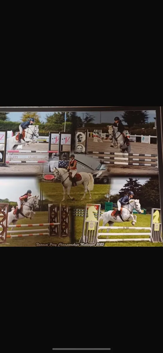 Pony - Image 3