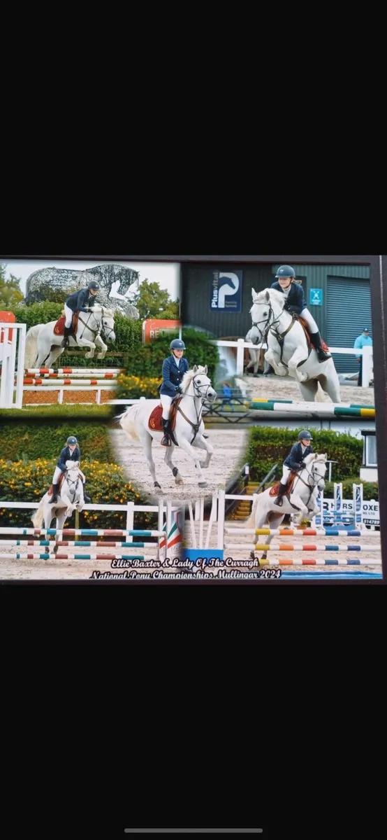 Pony - Image 4