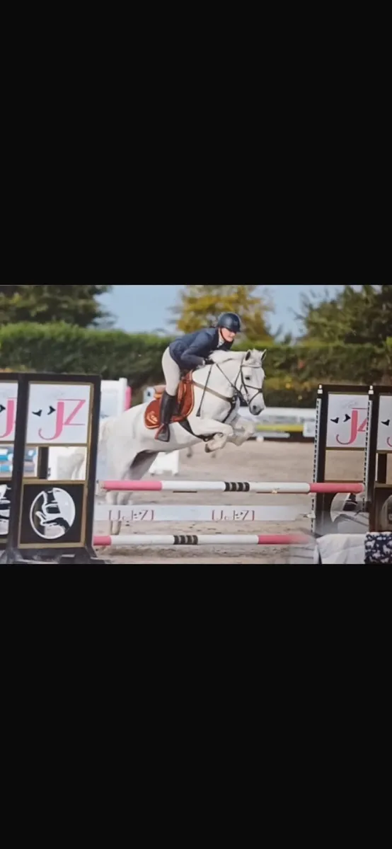 Pony - Image 2