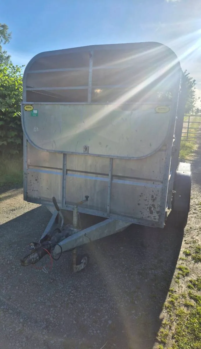Murphy 10 x 6 cattle trailer - Image 2