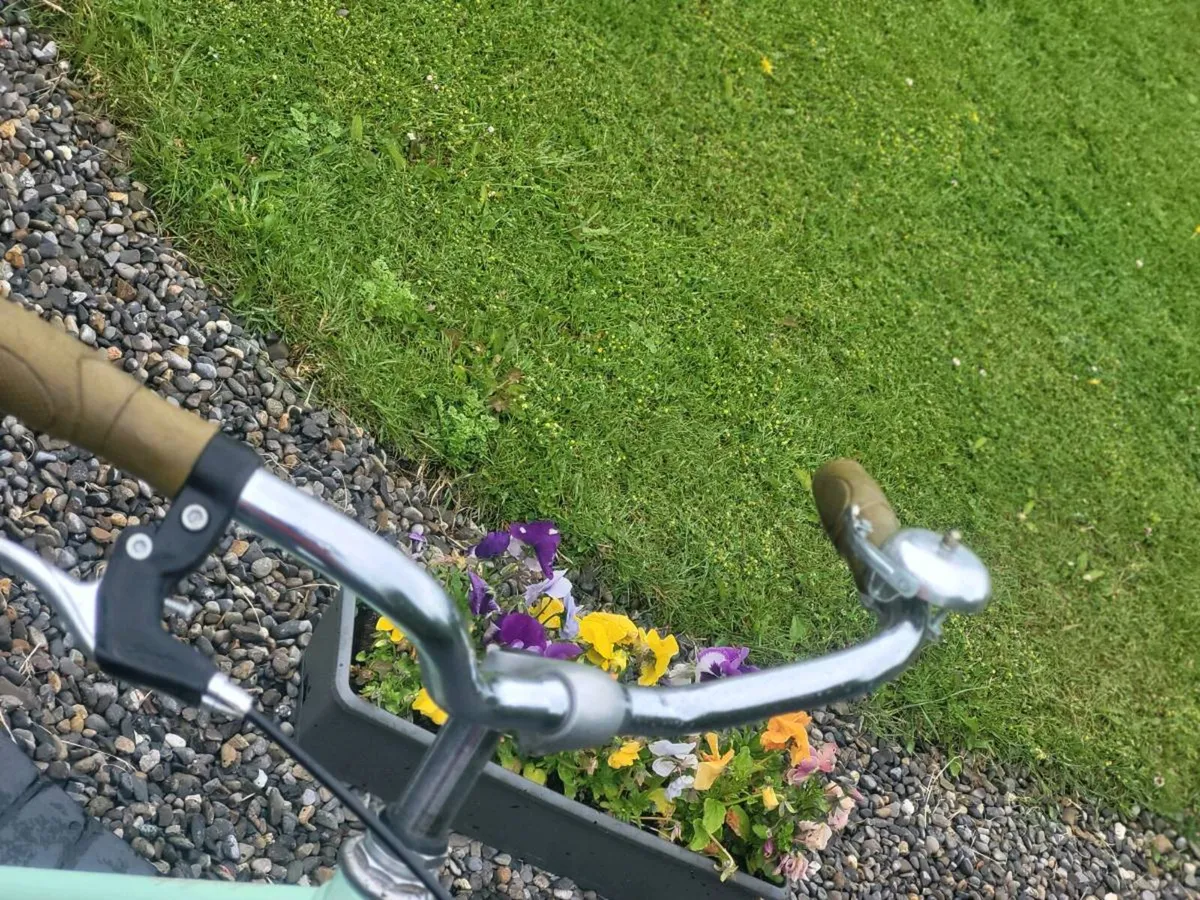 LADIES BIKE..NO OFFFERS - Image 3