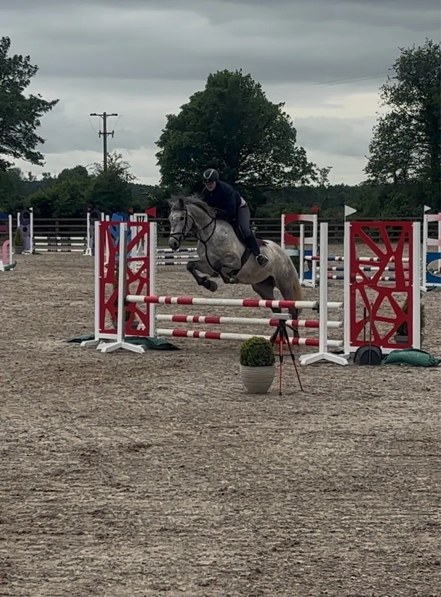 Outstanding Mare - Image 2