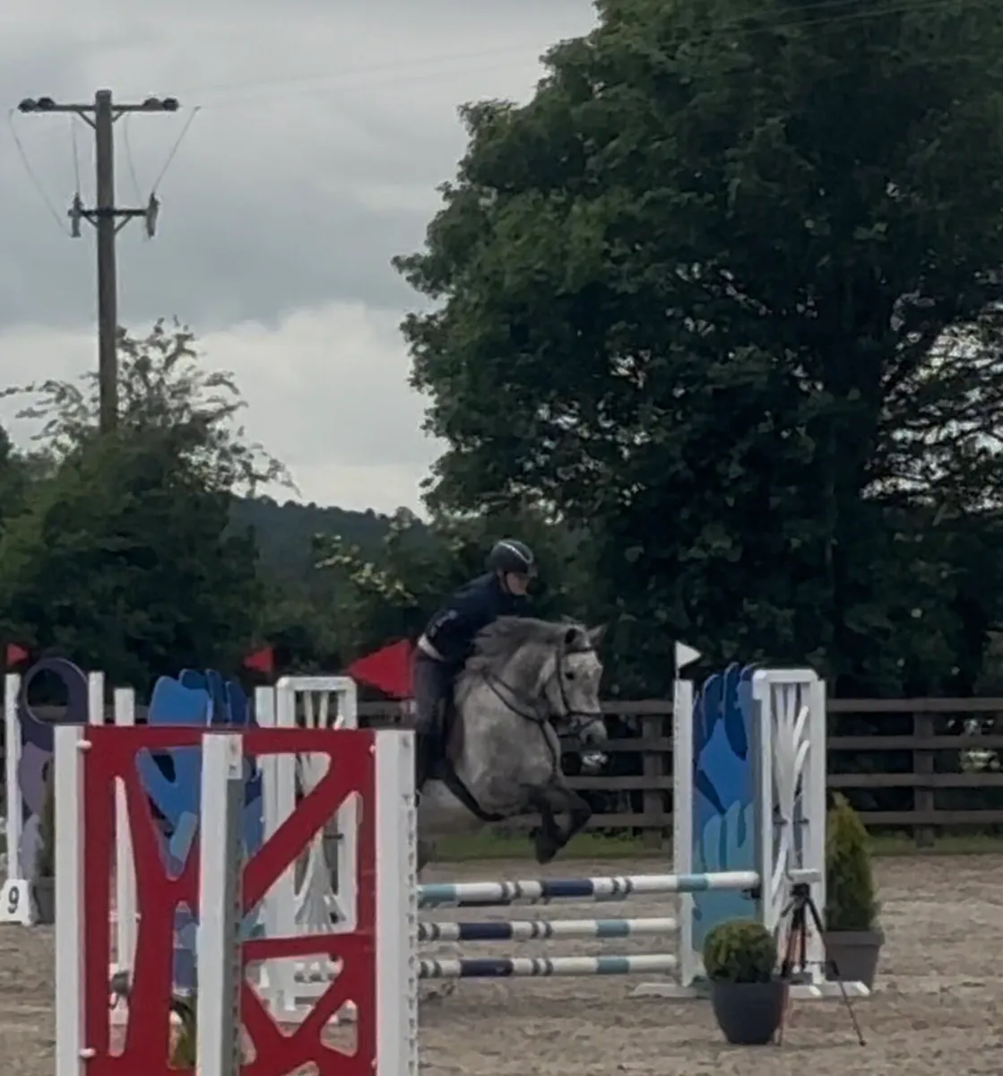 Outstanding Mare - Image 1