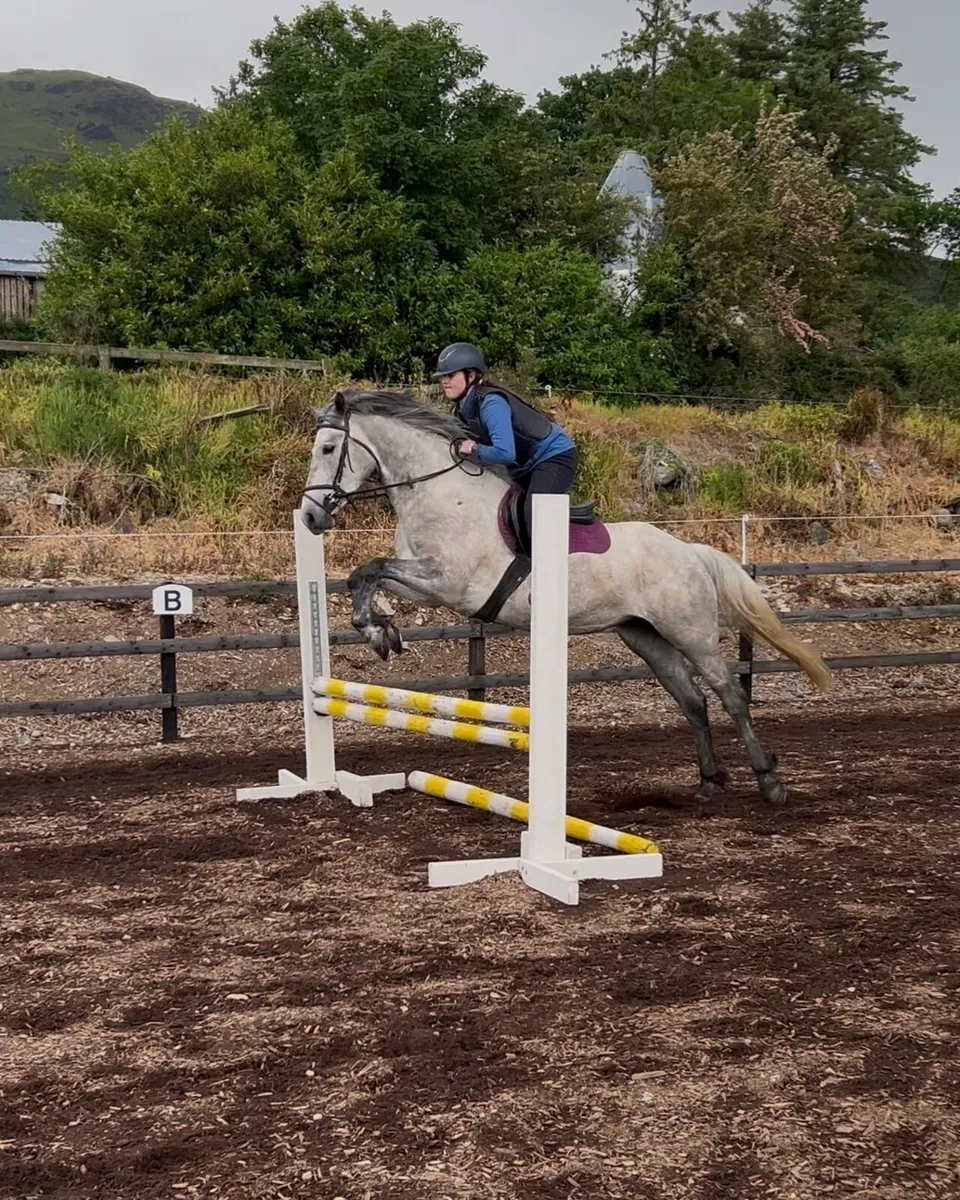 Outstanding Mare - Image 3