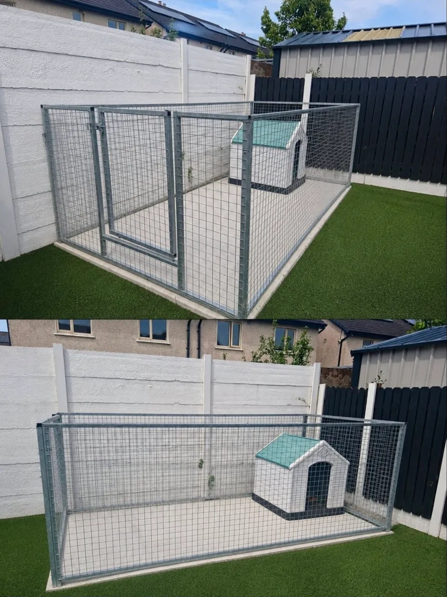 Dog Run