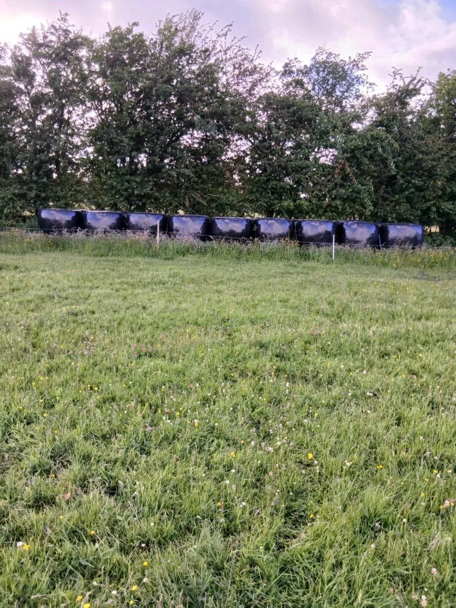 Silage