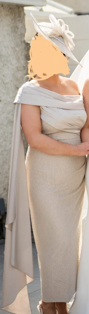 Mother of bride dress - Image 1
