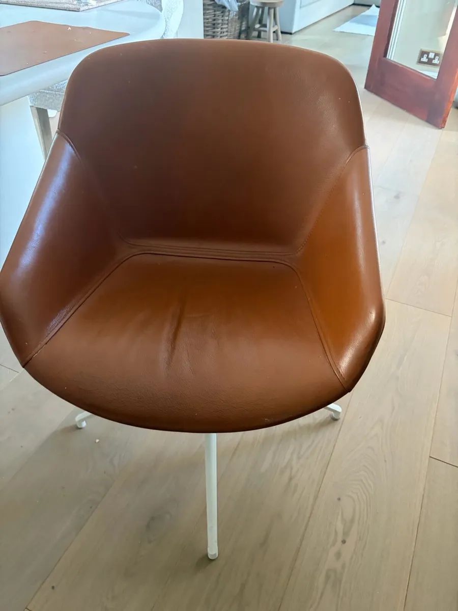 Dining chairs - Image 4