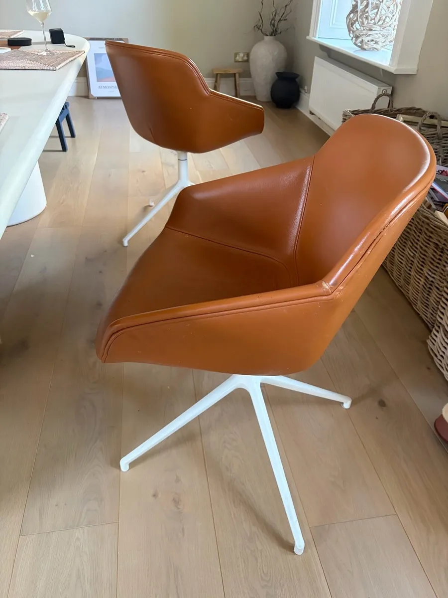 Dining chairs - Image 3