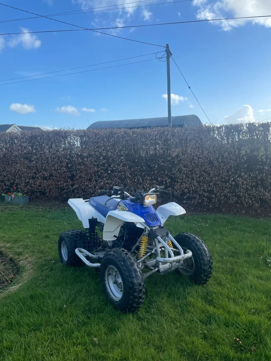 Yamaha Blaster - Image 1