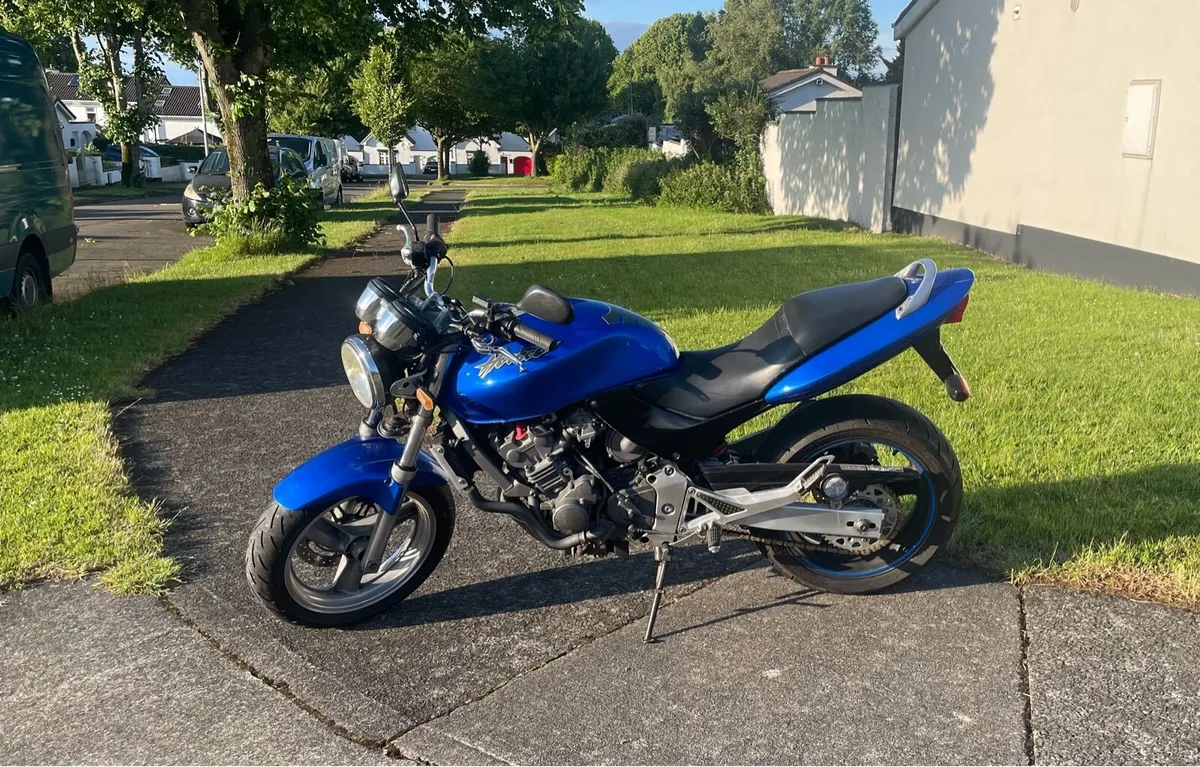 Honda Hornet 250 - Image 4