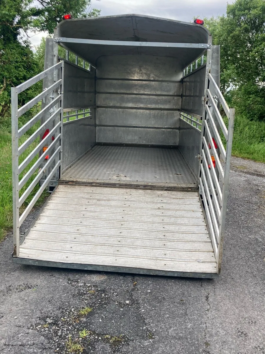 10 by 5 ft 9 profit trailer - Image 2