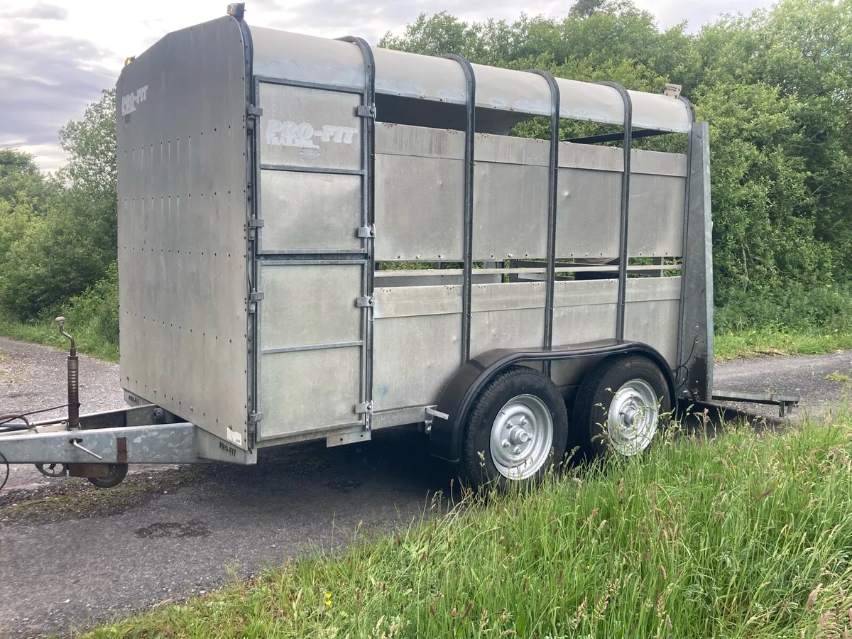 10 by 5 ft 9 profit trailer - Image 1