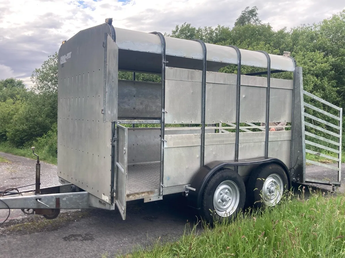10 by 5 ft 9 profit trailer - Image 4